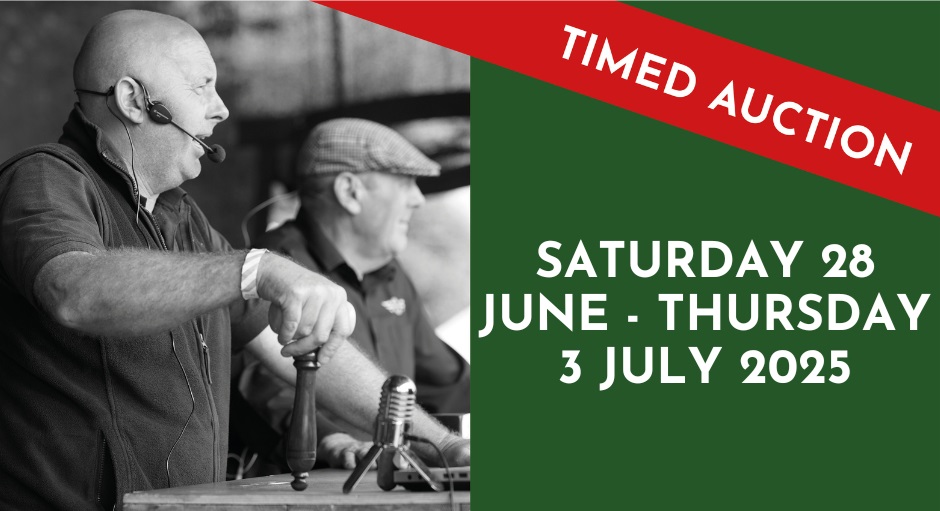 June Timed Auction